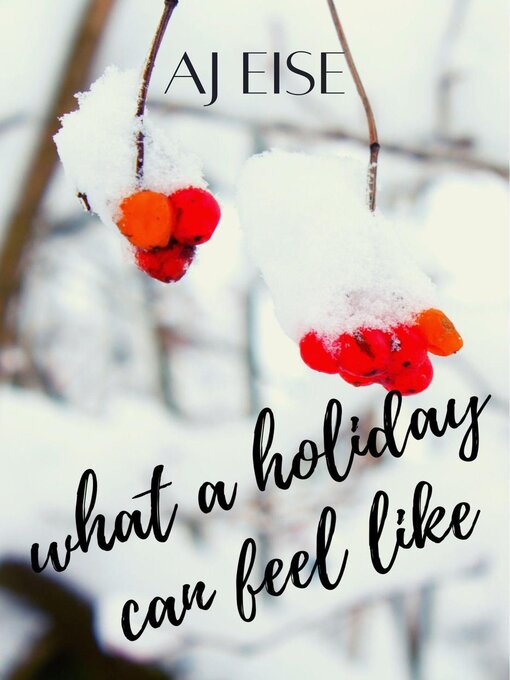 Title details for What a Holiday Can Feel Like by AJ Eise - Available